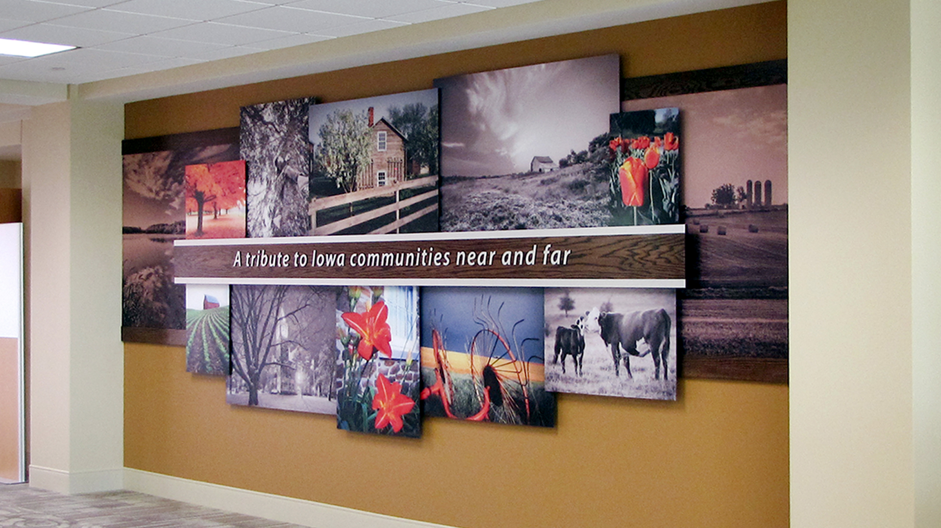 Healthcare Corporate Branding Display